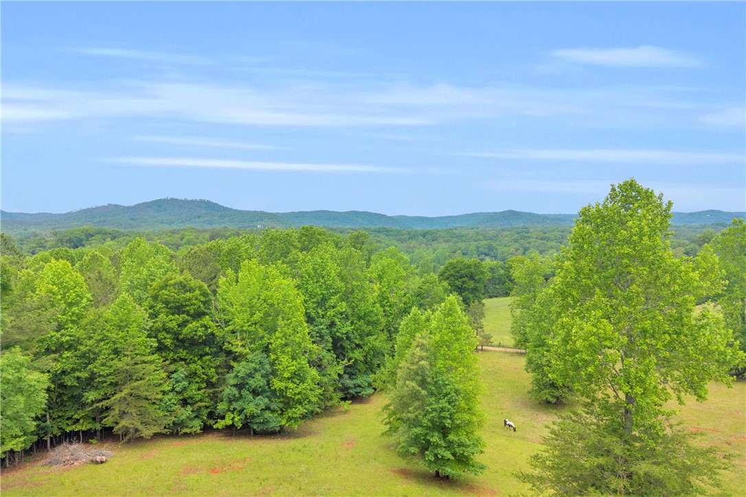 721 Cedar Crest Trail Walhalla, SC 29691 - Photo 40 of 47 Discover vast green spaces and serene distant mountain vistas.