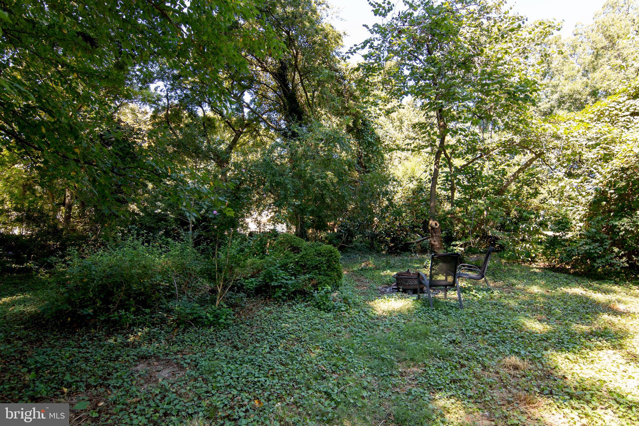 113 High Street Cambridge, MD 21613 - Photo 56 of 56 Outdoor Firepit
