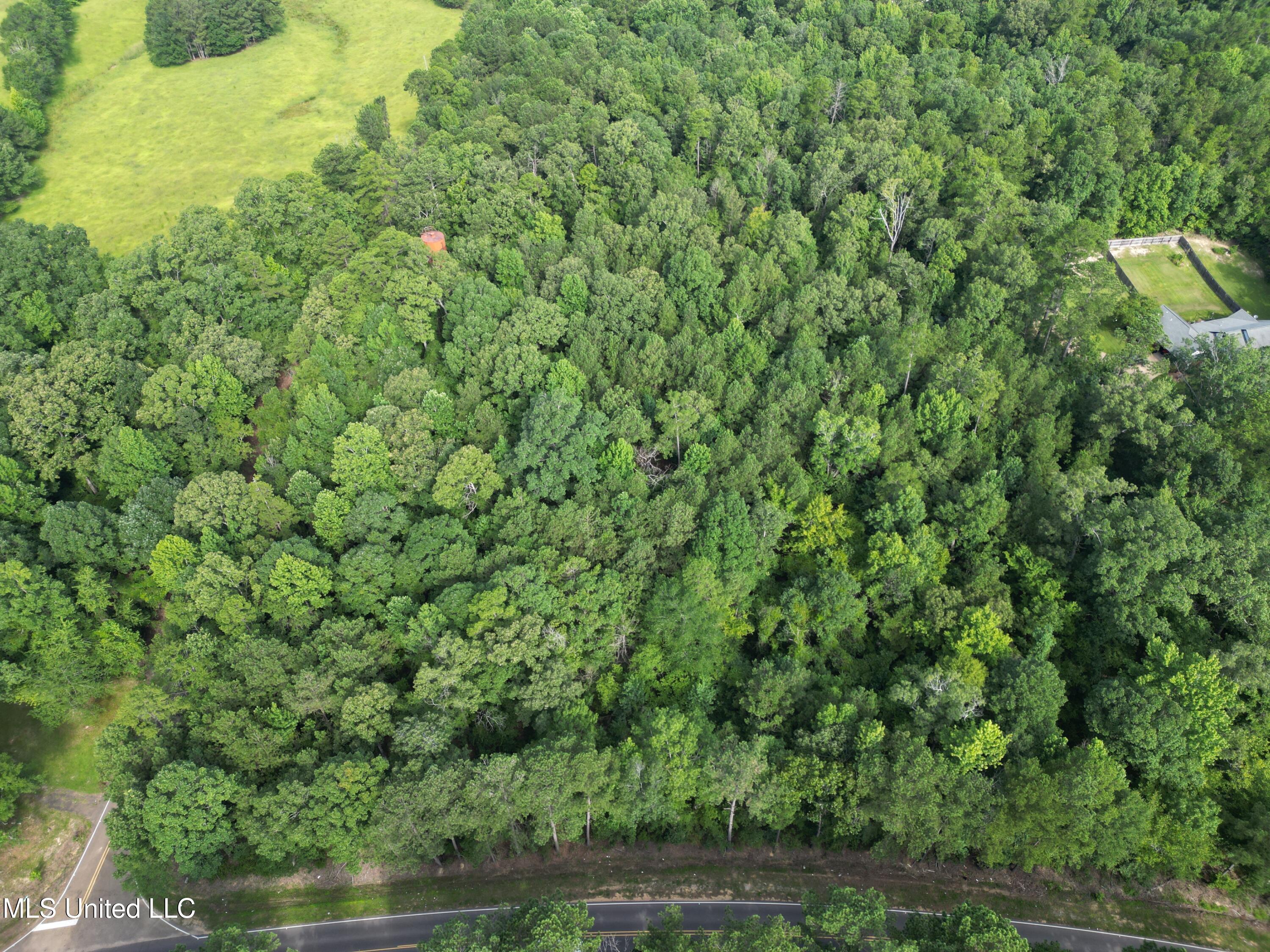 0 Shell Oil Road Brandon, MS 39042 - Photo 2 of 17 dji_fly_20250718_103844_9_1752864548159_