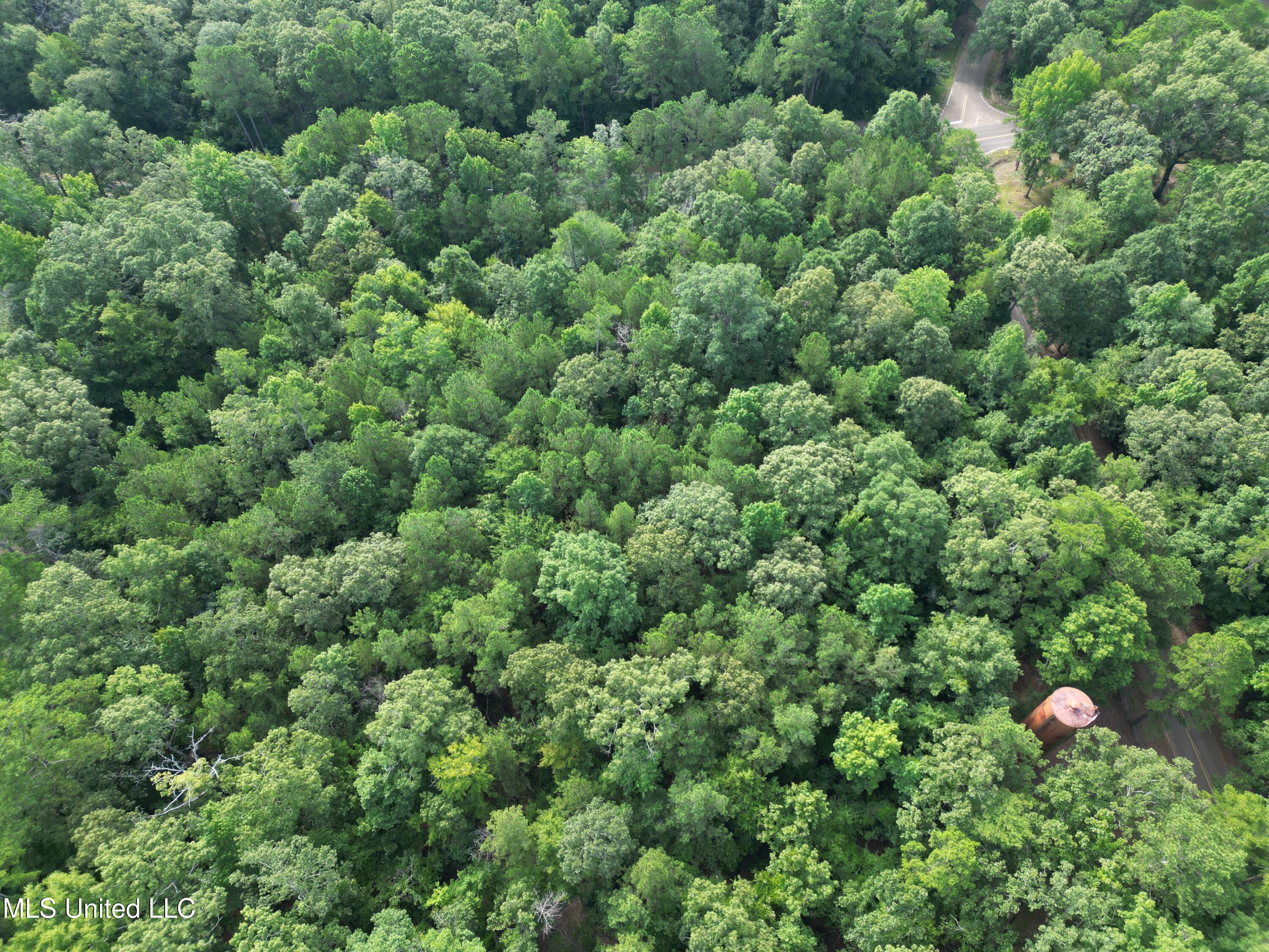 0 Shell Oil Road Brandon, MS 39042 - Photo 3 of 17 dji_fly_20250718_104034_11_1752864543583