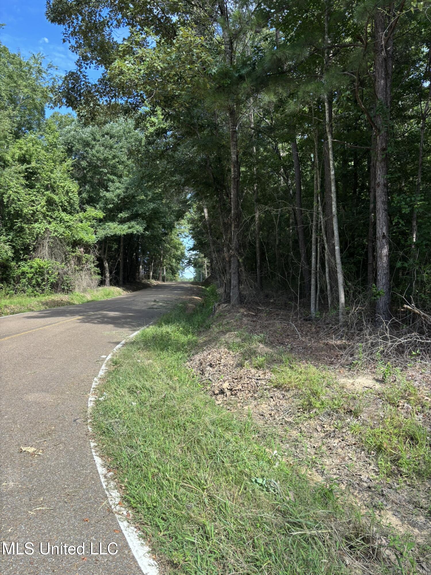 0 Shell Oil Road Brandon, MS 39042 - Photo 5 of 17 IMG_4130