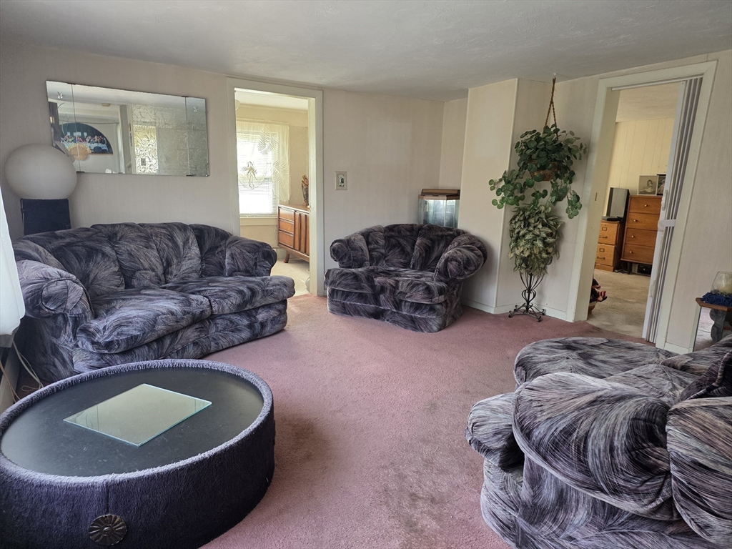 304 High Street Randolph, MA 02368 - Photo 19 of 35 a living room with furniture and a potted plant