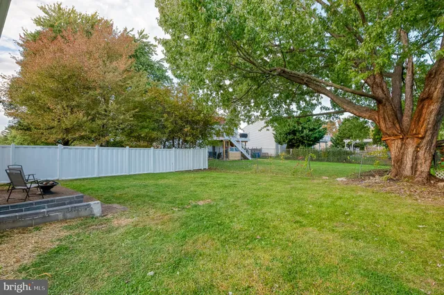 a backyard of a house with plants and large tree