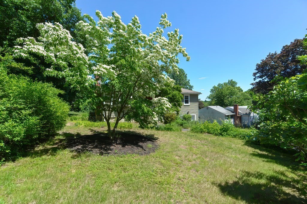 19 Spruce Street Holliston, MA 01746 - Photo 3 of 30