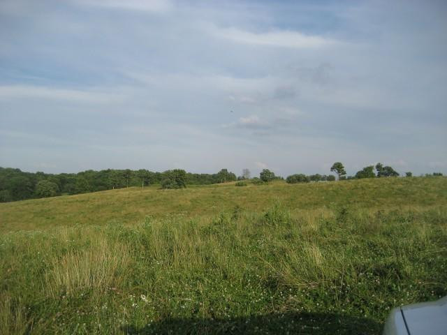 100 Concord & Burris Road Carlisle, KY 40311 - Photo 3 of 9 Photo 3