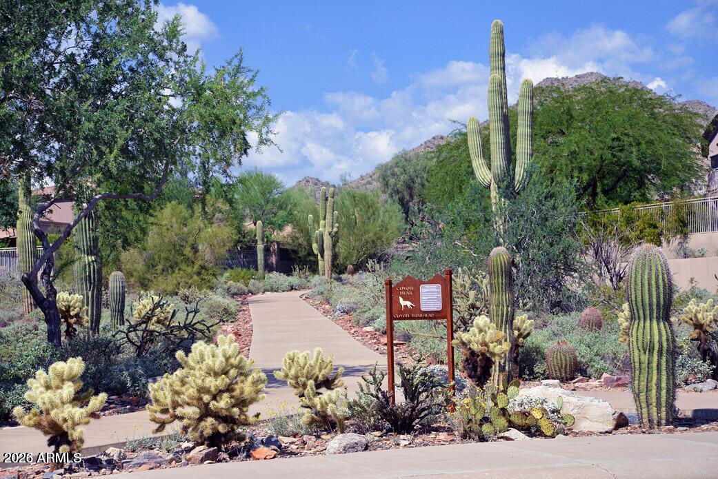 11221 East Greenway Road Scottsdale, AZ 85255 - Photo 37 of 37 MMR Walking Trail