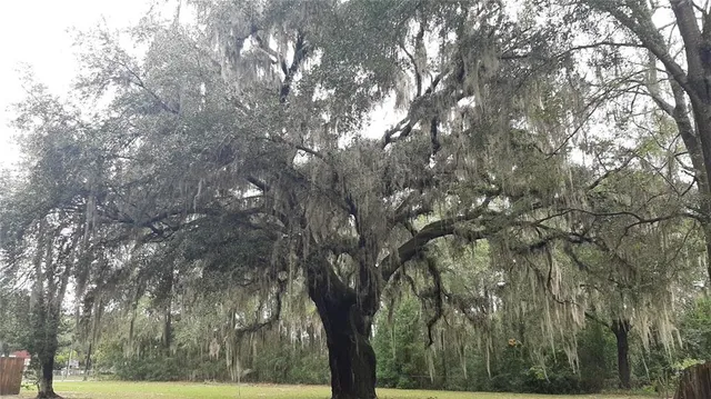 $1,750 | 3801 Northwest 6th Street, Gainesville, FL 32609