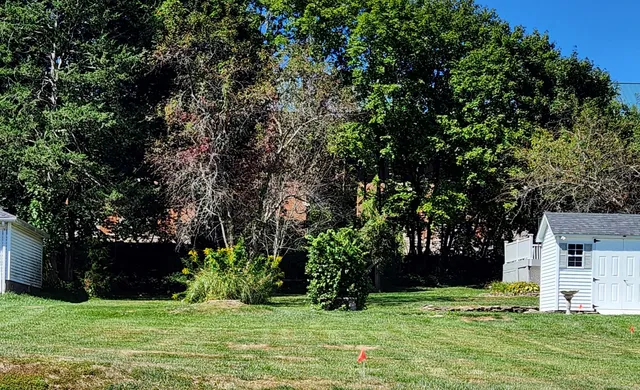 a view of a backyard with large trees