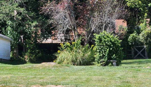 a view of a backyard