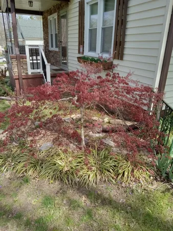 $245,000 | 952 North Brown Street, Springfield, TN 37172