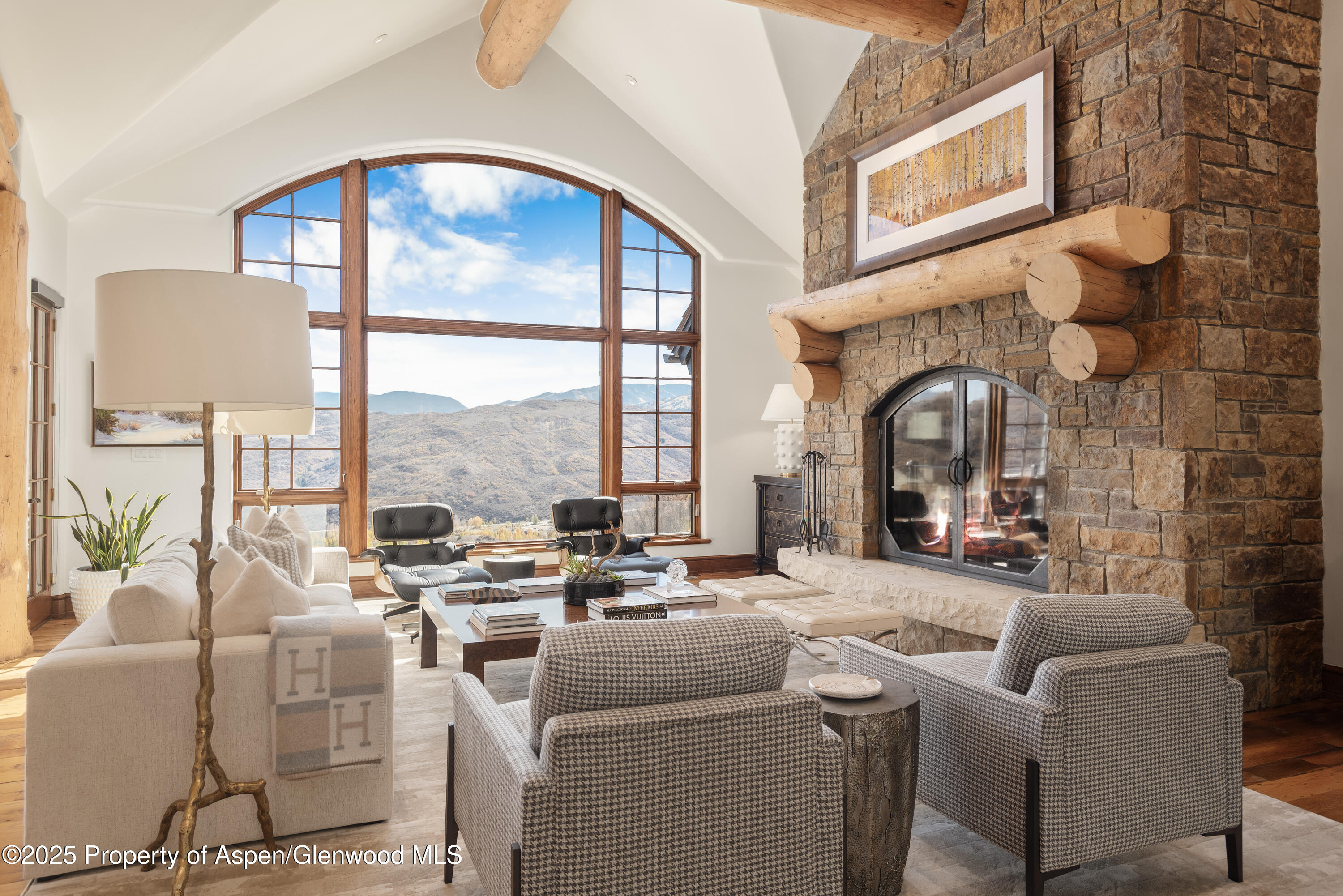 800 Oak Ridge Road Snowmass Village, CO 81615 - Photo 6 of 47 Living Room