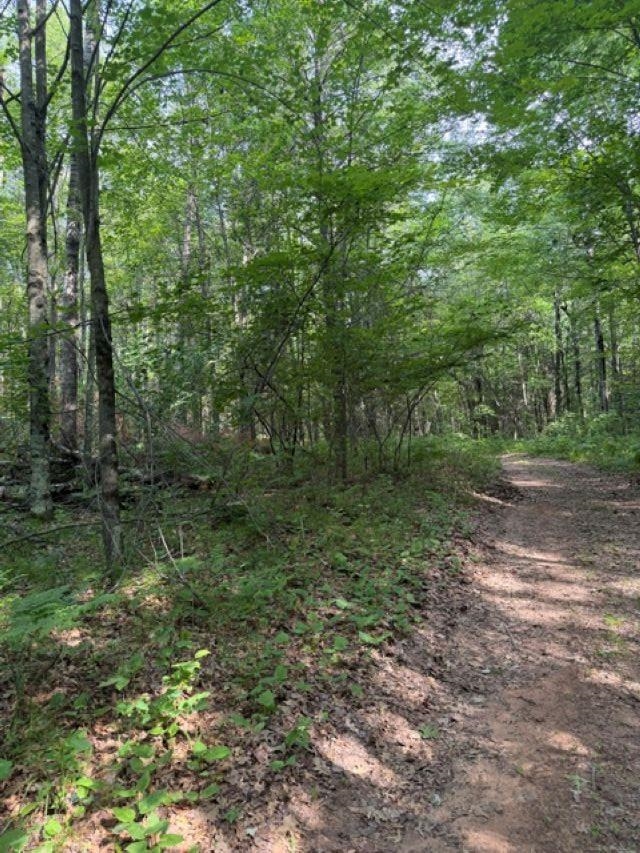W8895 Co Road Stephenson, MI 49887 - Photo 31 of 31