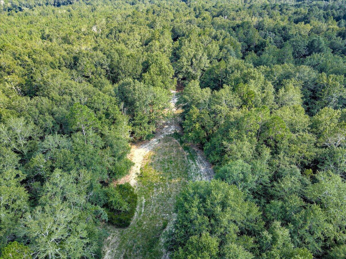 0 Millers Pond Road, Unit 7 Salley, SC 29137 - Photo 3 of 22 Gallery Image 3