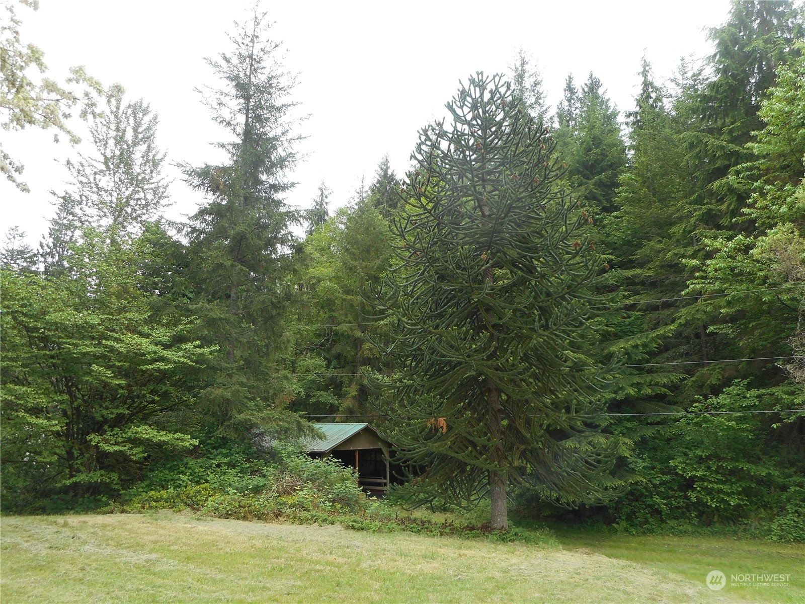 13708 Tastad Road Arlington, WA 98223 - Photo 15 of 17 Gallery Image 15