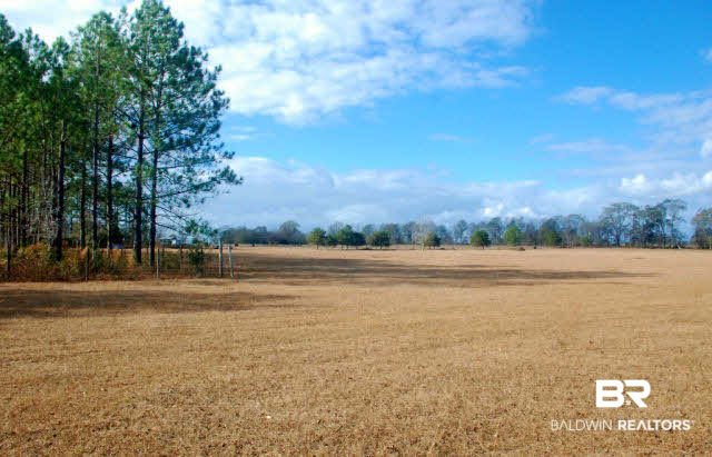 6905 Arthur Lee Rowell Road Jay, FL 32565 - Photo 3 of 5