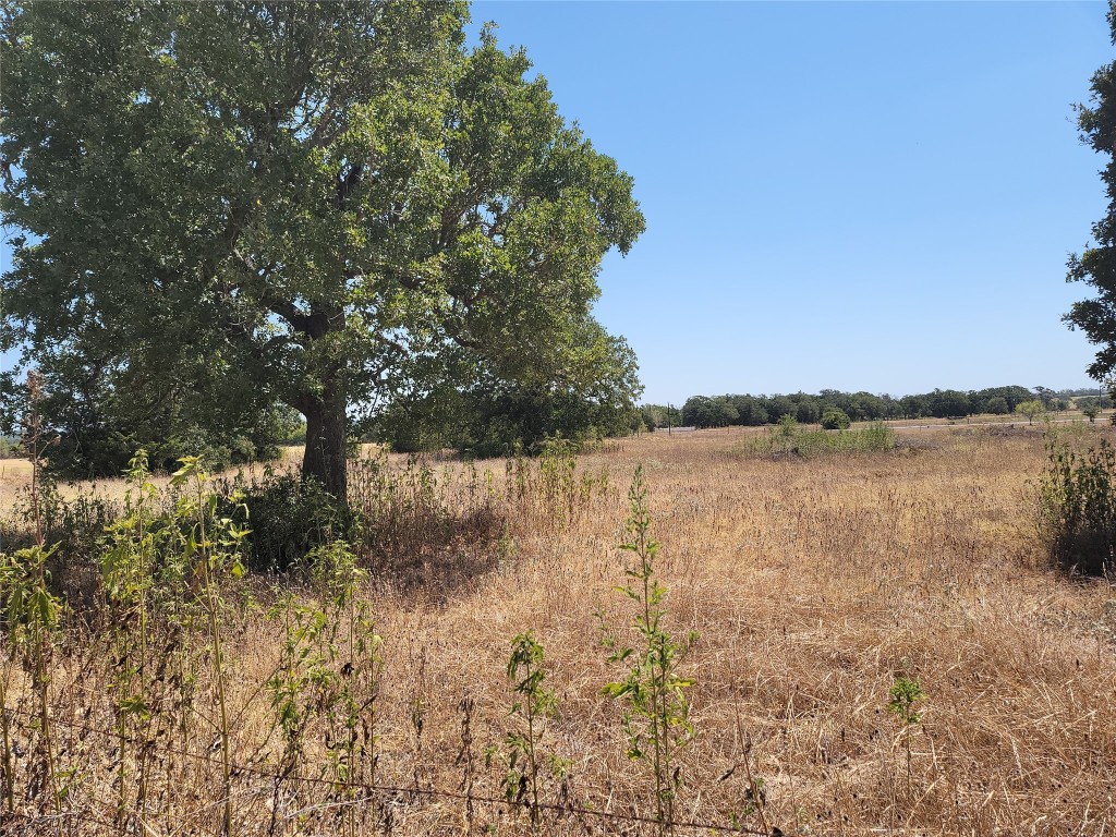 0 Brown Road McDade, TX 78650 - Photo 9 of 10 a view of lake with a tree in the background