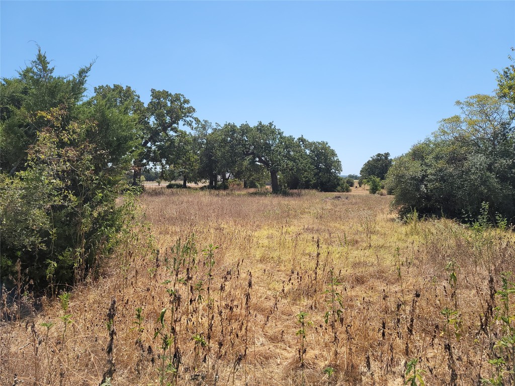 0 Brown Road McDade, TX 78650 - Photo 10 of 10