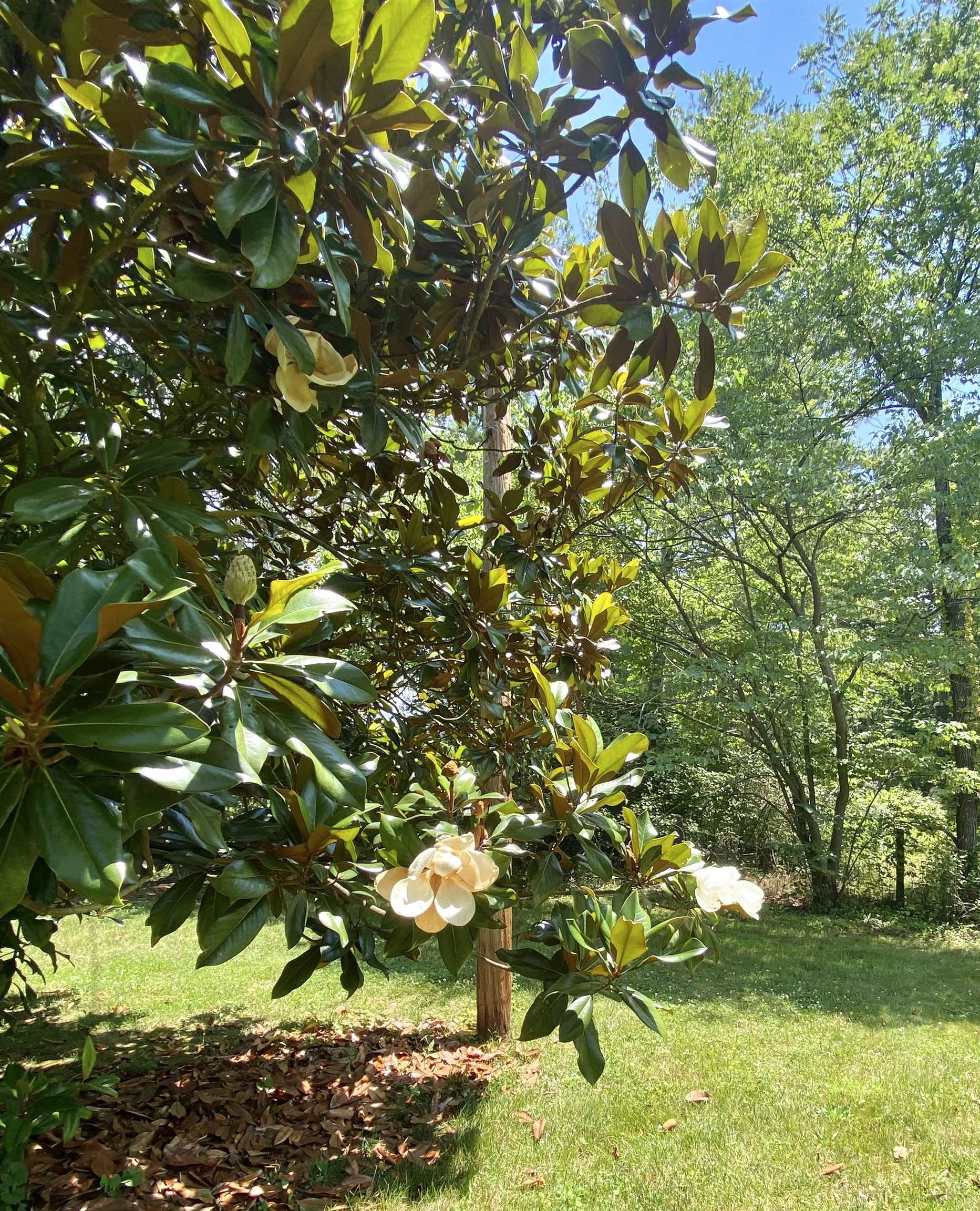 465 Harriston Road Grottoes, VA 24441 - Photo 13 of 51 Gallery Image 13