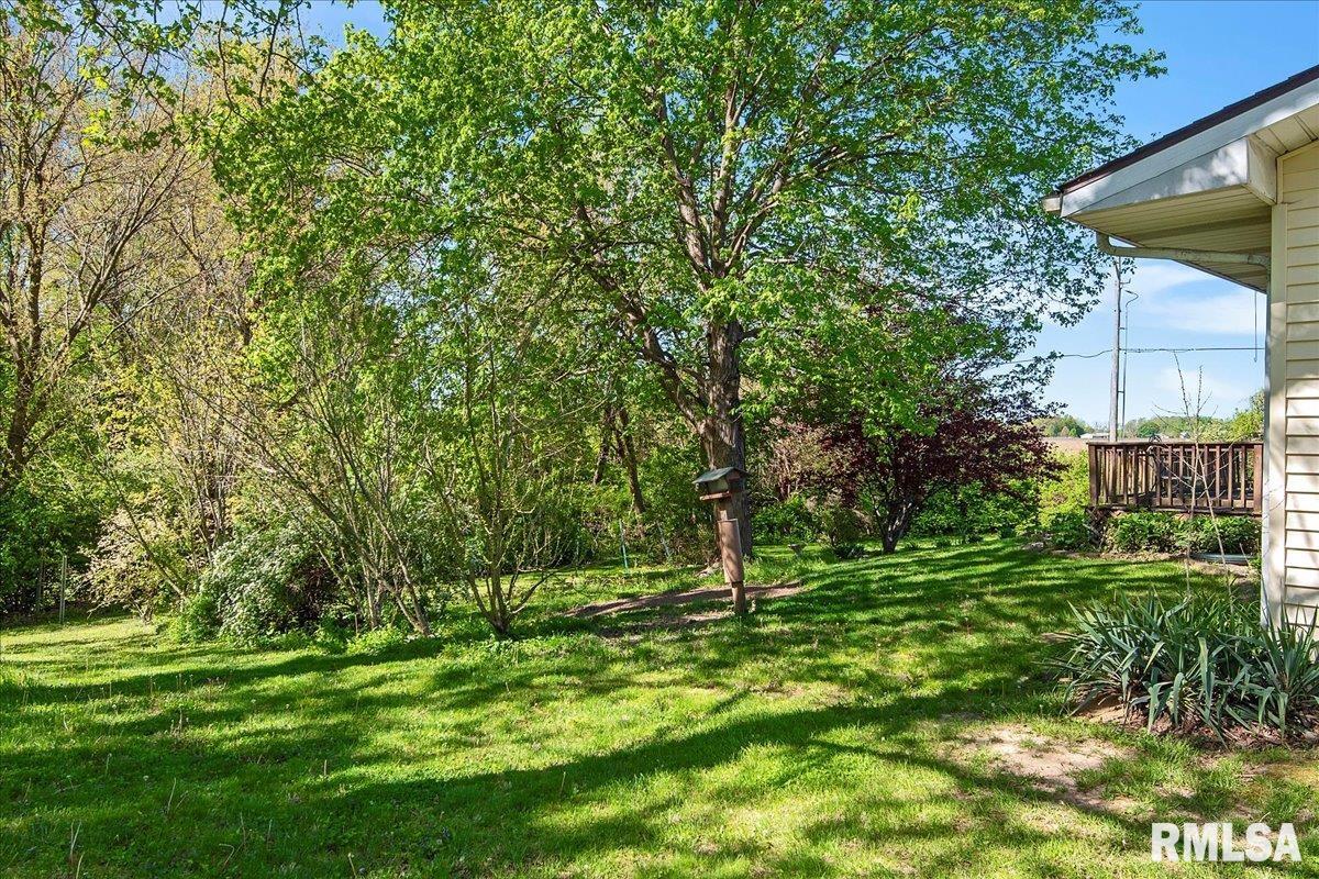 2 Settlers Lane Springfield, IL 62707 - Photo 33 of 40