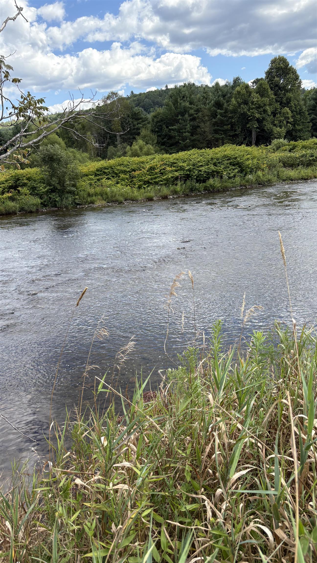 624 Bishop Road, Unit 1825 Lisbon, NH 03585 - Photo 2 of 11