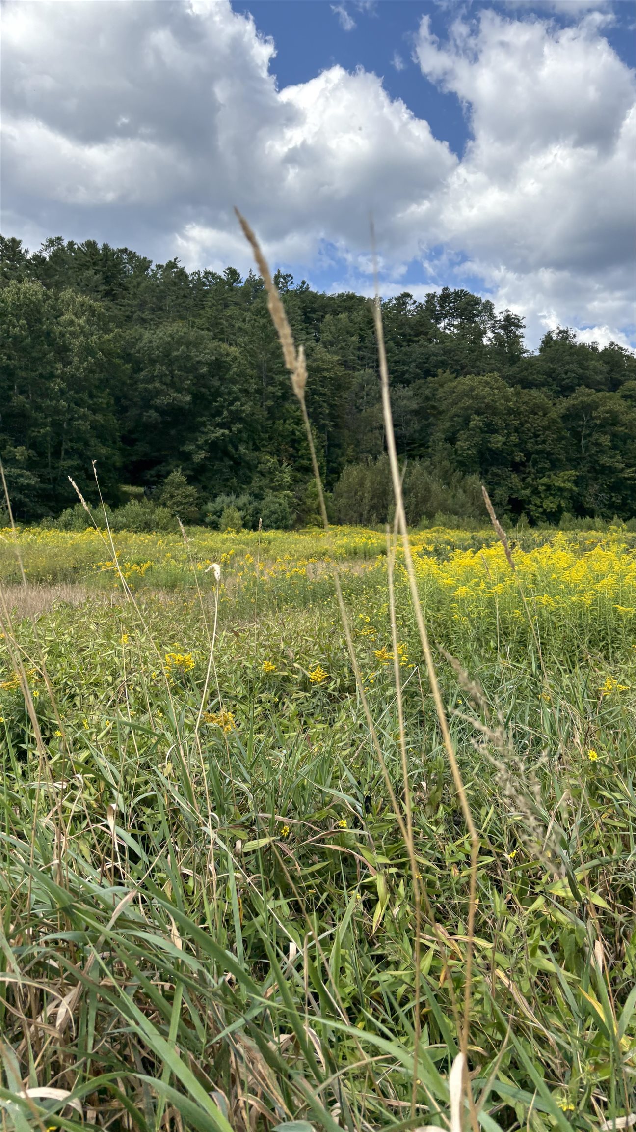 624 Bishop Road, Unit 1825 Lisbon, NH 03585 - Photo 3 of 11