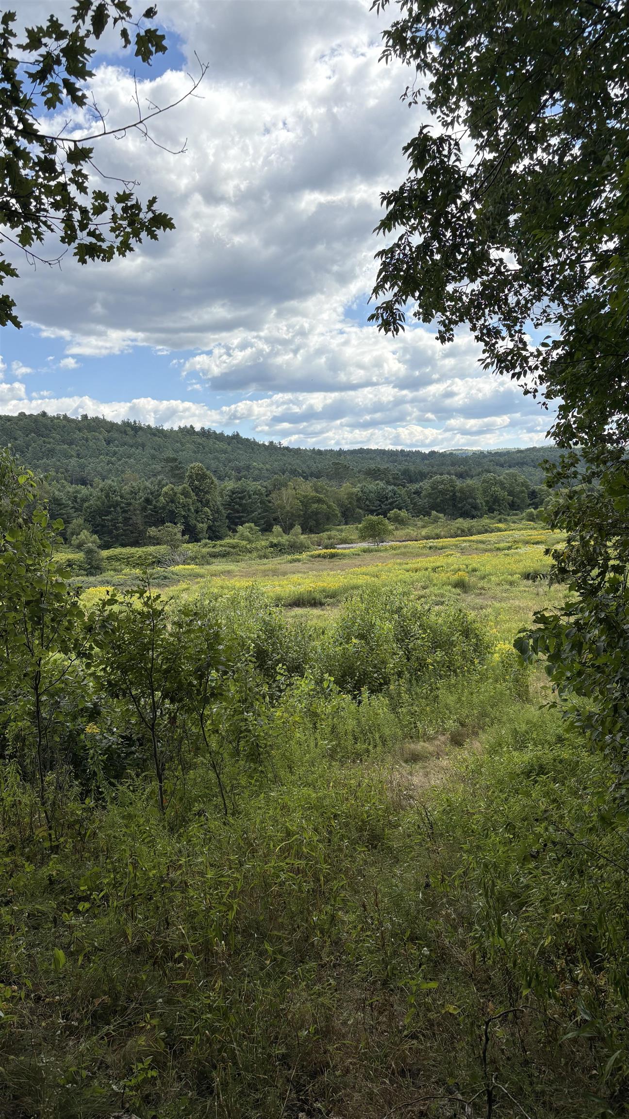 624 Bishop Road, Unit 1825 Lisbon, NH 03585 - Photo 4 of 11