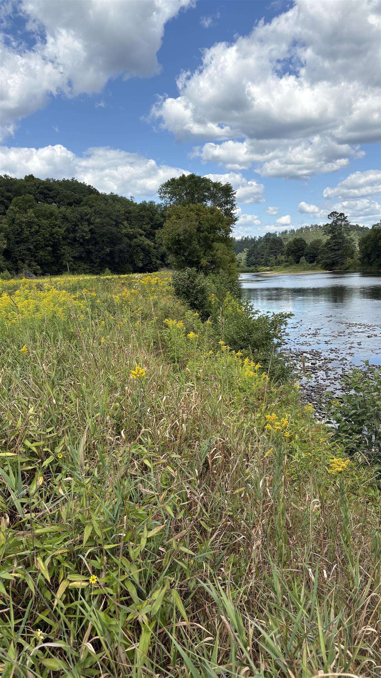 624 Bishop Road, Unit 1825 Lisbon, NH 03585 - Photo 6 of 11