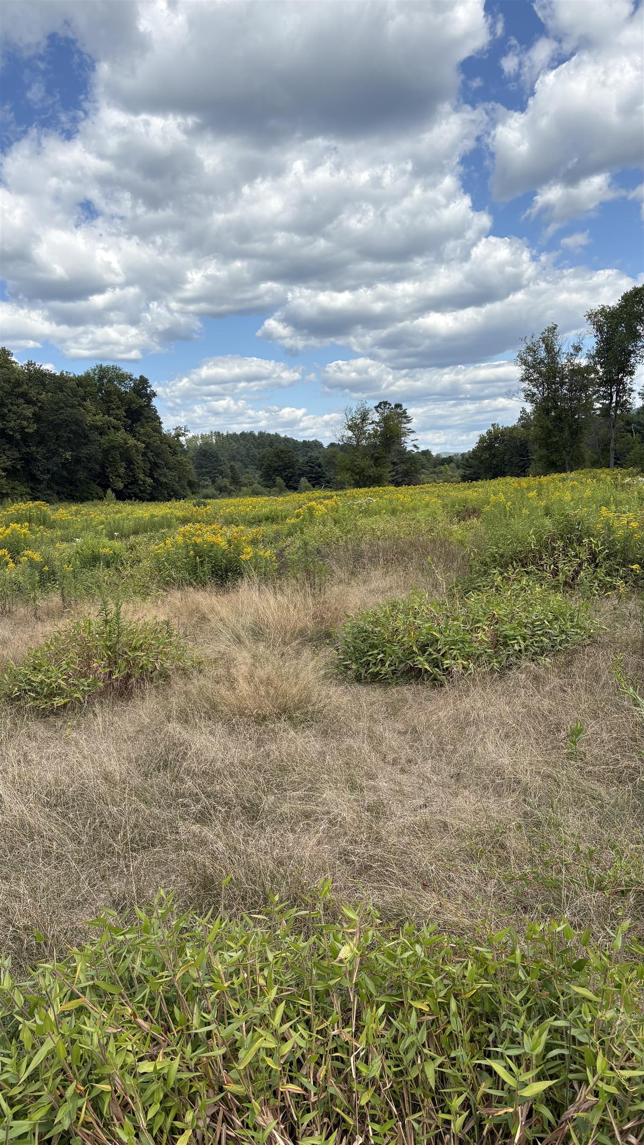 624 Bishop Road, Unit 1825 Lisbon, NH 03585 - Photo 8 of 11