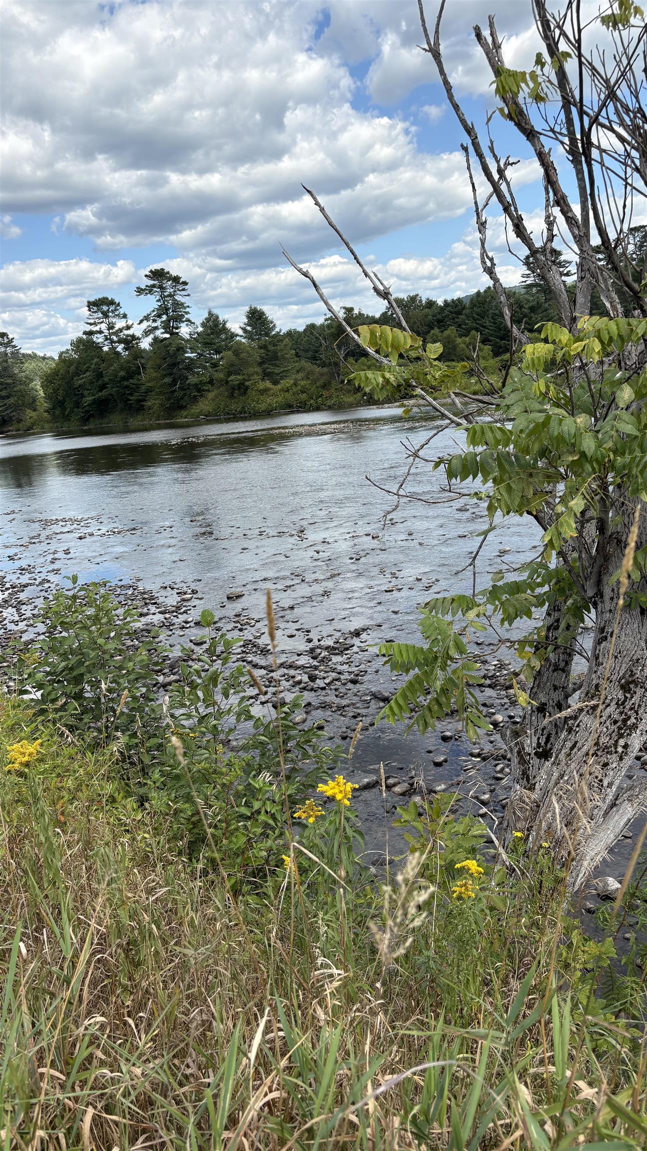 624 Bishop Road, Unit 1825 Lisbon, NH 03585 - Photo 9 of 11