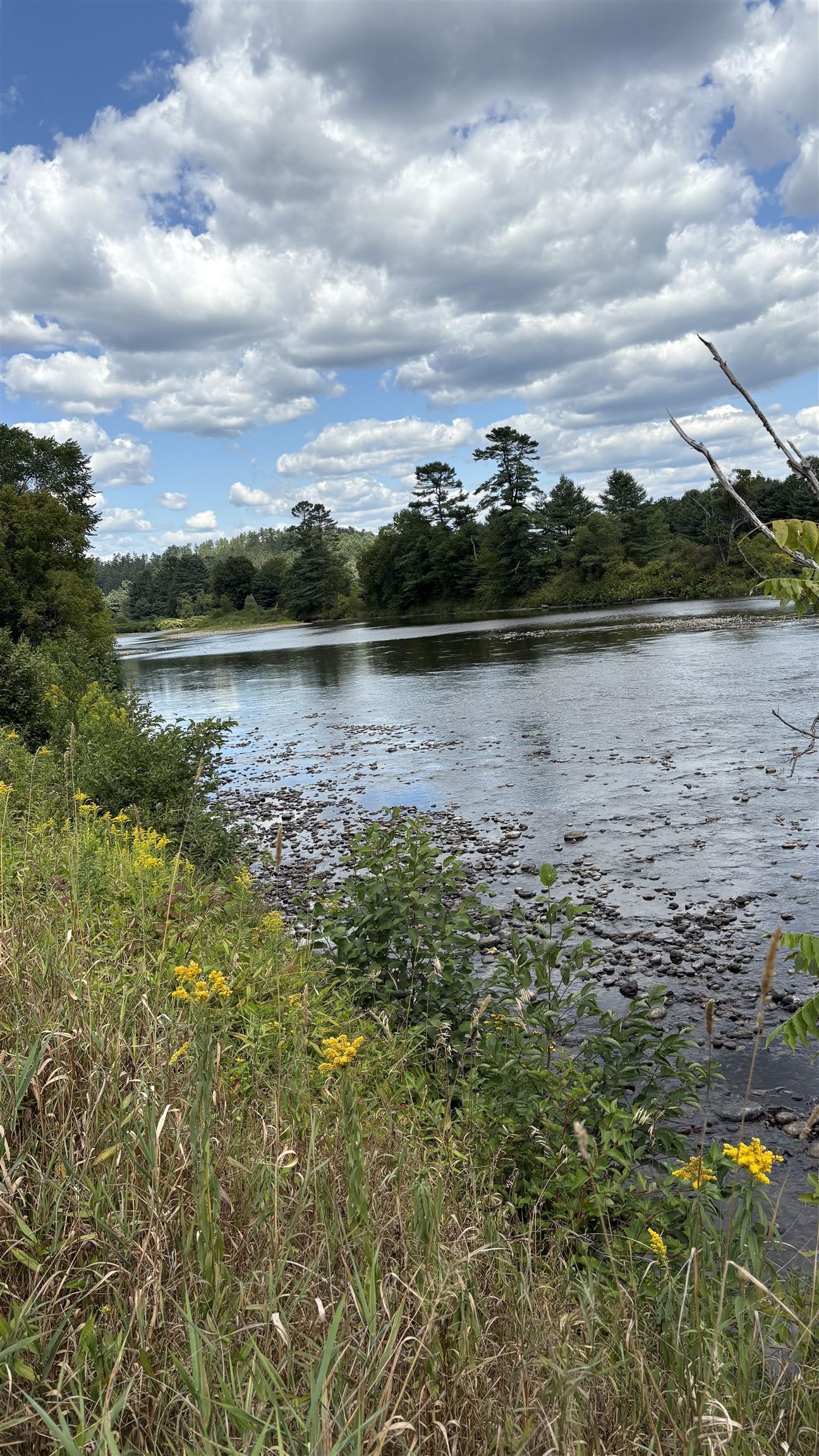 624 Bishop Road, Unit 1825 Lisbon, NH 03585 - Photo 10 of 11