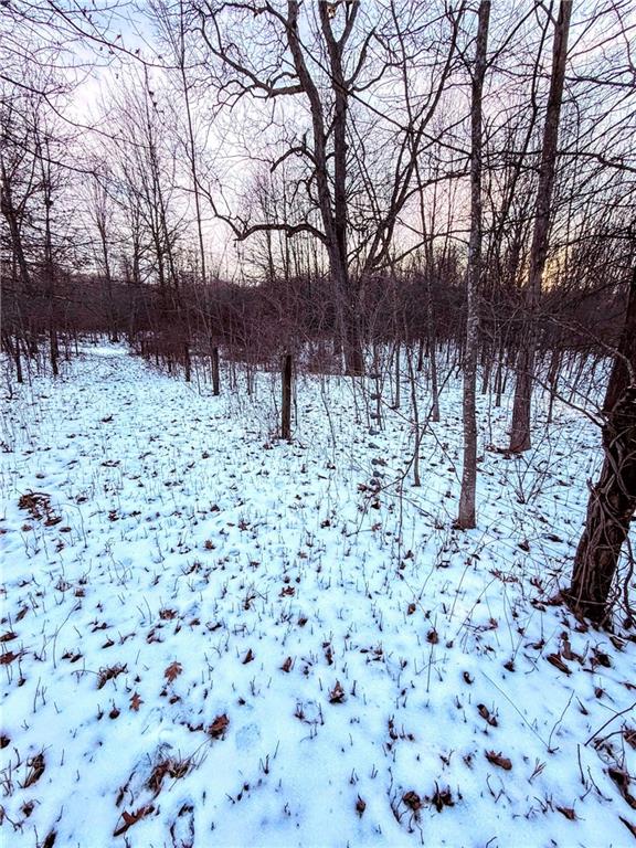 13 Kernisky Lane West Middlesex, PA 16159 - Photo 33 of 44