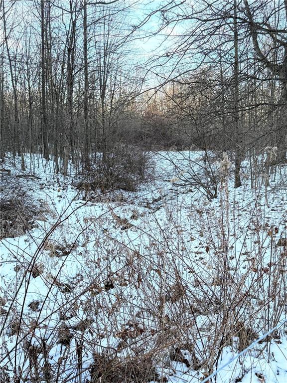 13 Kernisky Lane West Middlesex, PA 16159 - Photo 34 of 44