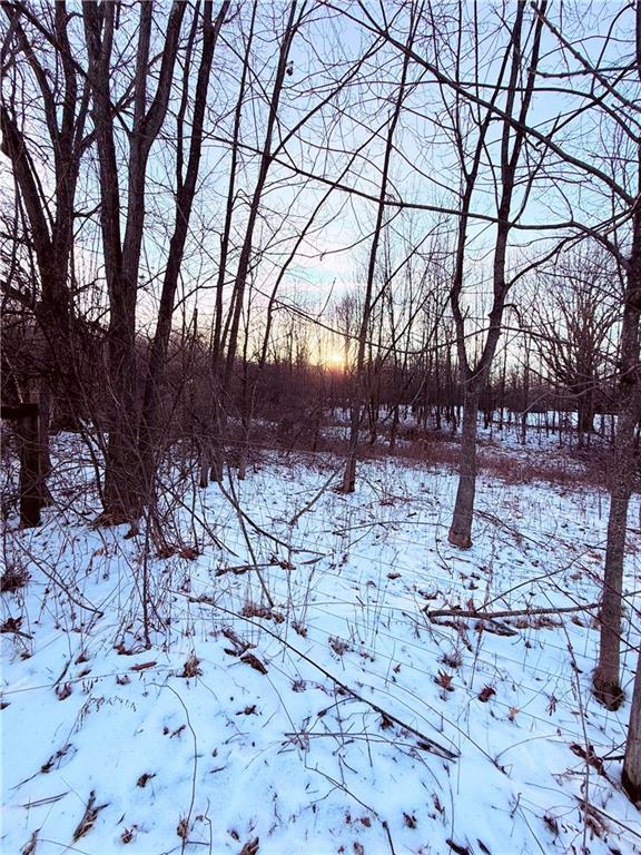 13 Kernisky Lane West Middlesex, PA 16159 - Photo 39 of 44