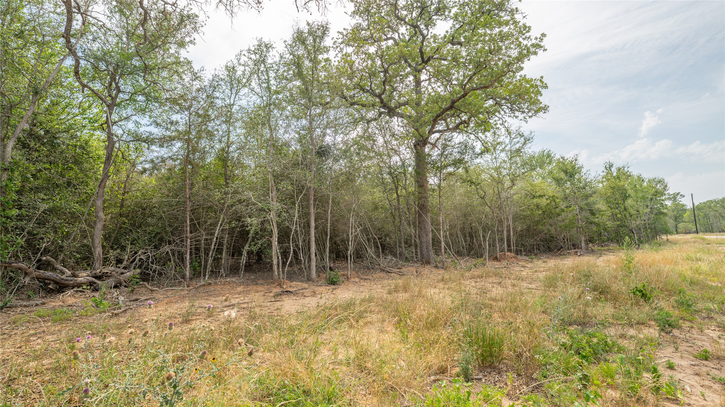 926 Ferguson Loop Dale Dale, TX 78616 - Photo 4 of 7 a view of outdoor space and trees