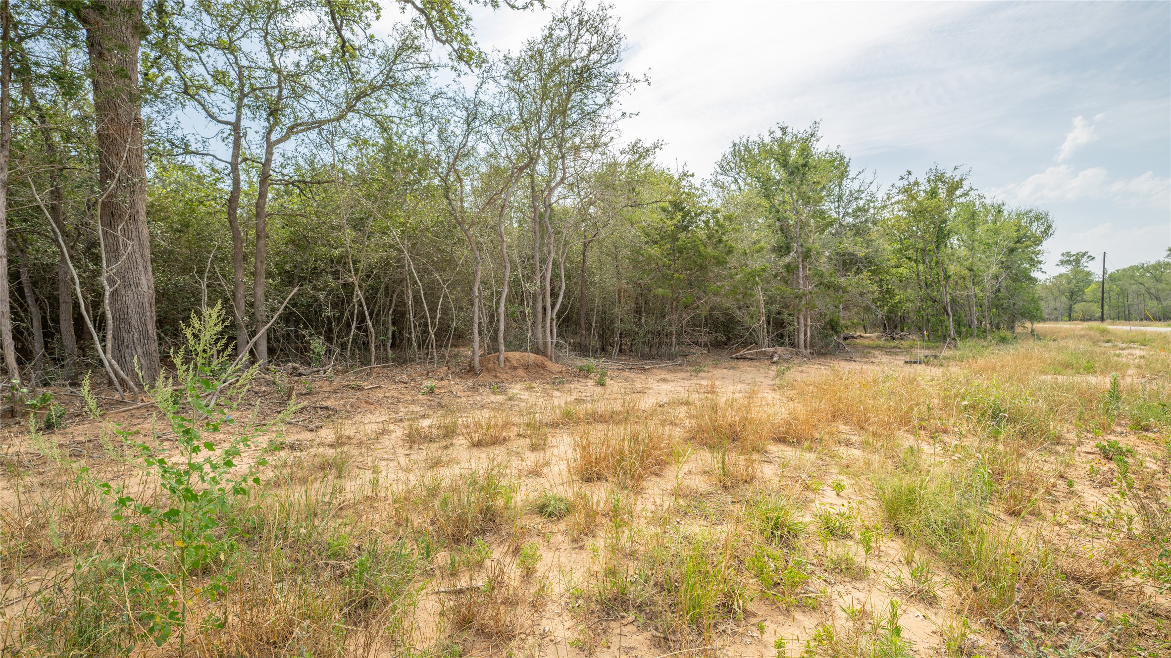 926 Ferguson Loop Dale Dale, TX 78616 - Photo 5 of 7 a view of yard with trees