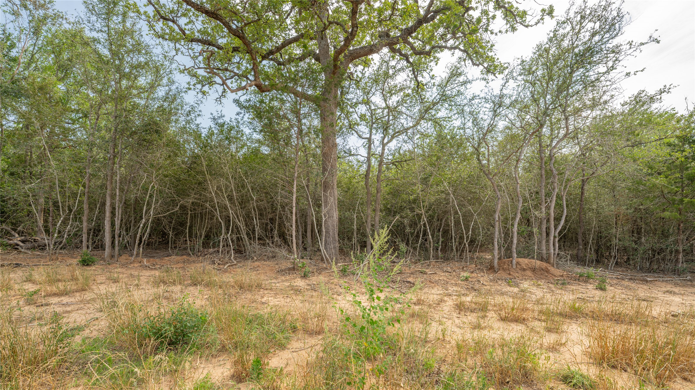 926 Ferguson Loop Dale Dale, TX 78616 - Photo 6 of 7 a view of outdoor space and green space