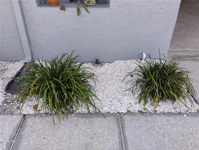 $559,900 | 2256 Colonial Boulevard West, Palm Harbor, FL 34683