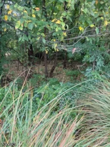 a backyard of a house with lots of green space and forest view