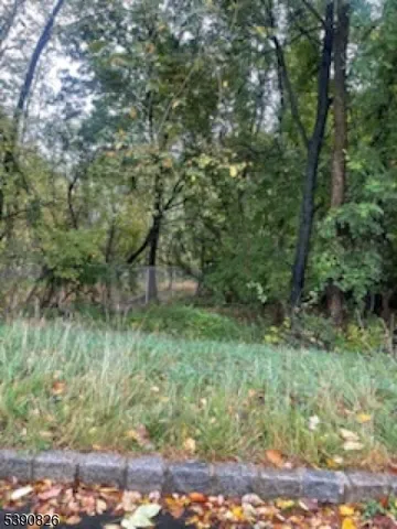 a view of a lush green forest