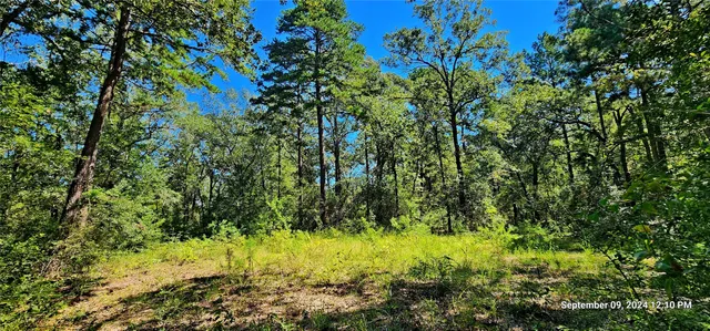 $294,343 | Tbd Zed Creek Road, Lufkin, TX 75904