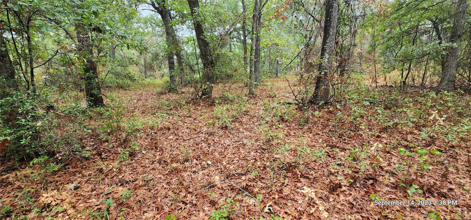 Tbd Zed Creek Road Lufkin, TX 75904 - Photo 13 of 19