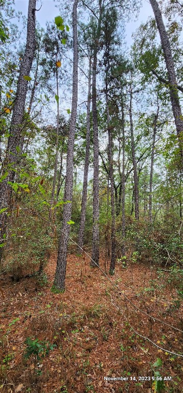 Tbd Zed Creek Road Lufkin, TX 75904 - Photo 14 of 19