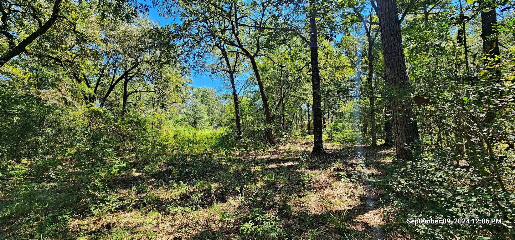 Tbd Zed Creek Road Lufkin, TX 75904 - Photo 4 of 19