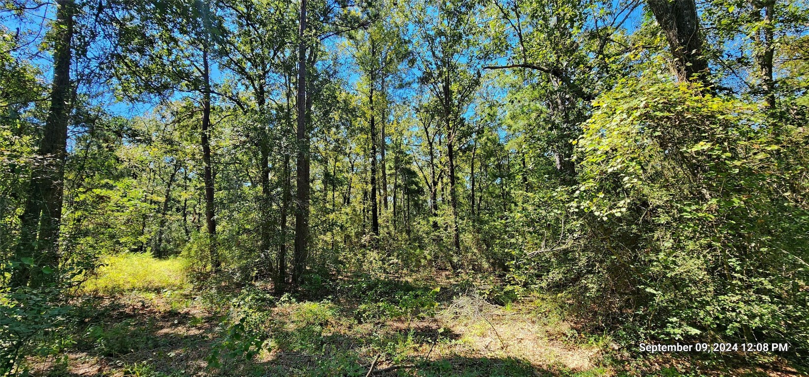 Tbd Zed Creek Road Lufkin, TX 75904 - Photo 6 of 19