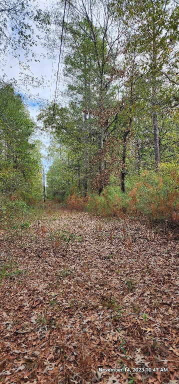 Tbd Zed Creek Road Lufkin, TX 75904 - Photo 7 of 19