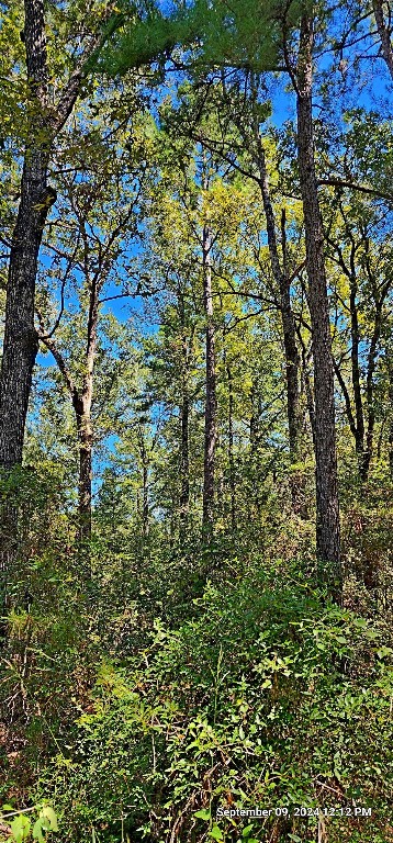 Tbd Zed Creek Road Lufkin, TX 75904 - Photo 10 of 19