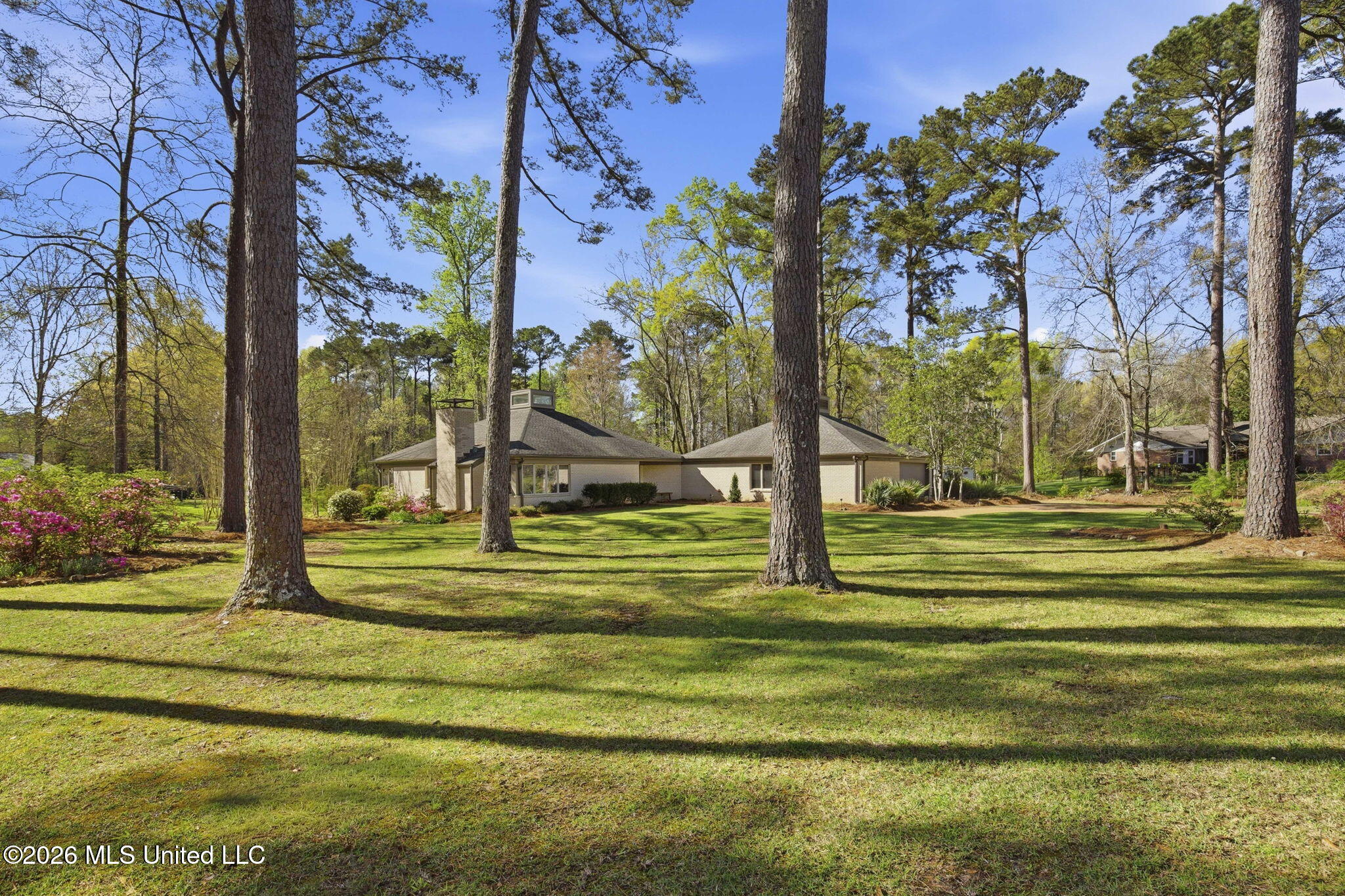 4 Fern Cove Flowood, MS 39232 - Photo 3 of 73 2-web-or-mls-4 Fern Cv-2