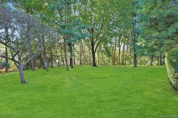 a view of an house with backyard and a tree