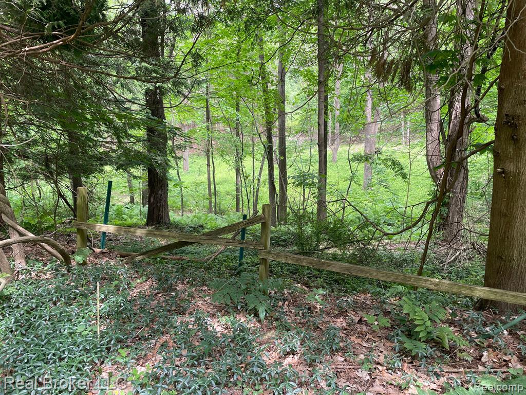 5465 Hadley Road Goodrich, MI 48438 - Photo 63 of 81