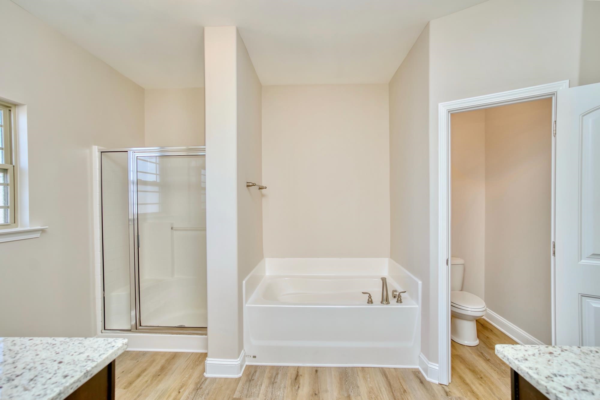 608 Hedgeapple Lane Lyman, SC 29365 - Photo 18 of 28